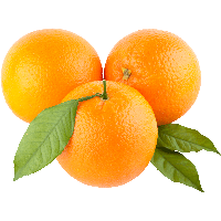  Fruits Orange Image