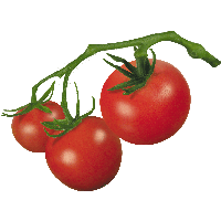  Vegetables Tomato Image