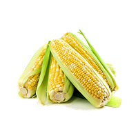  Food Corn Image