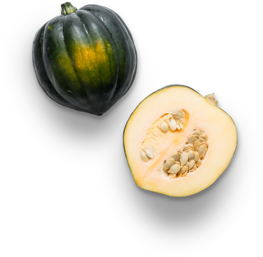 Gland Nutmeat Squash Acorn Catkin PNG