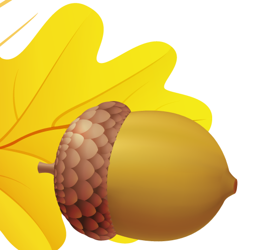 Beechnuts Nature Drupes Ornament Acorn PNG