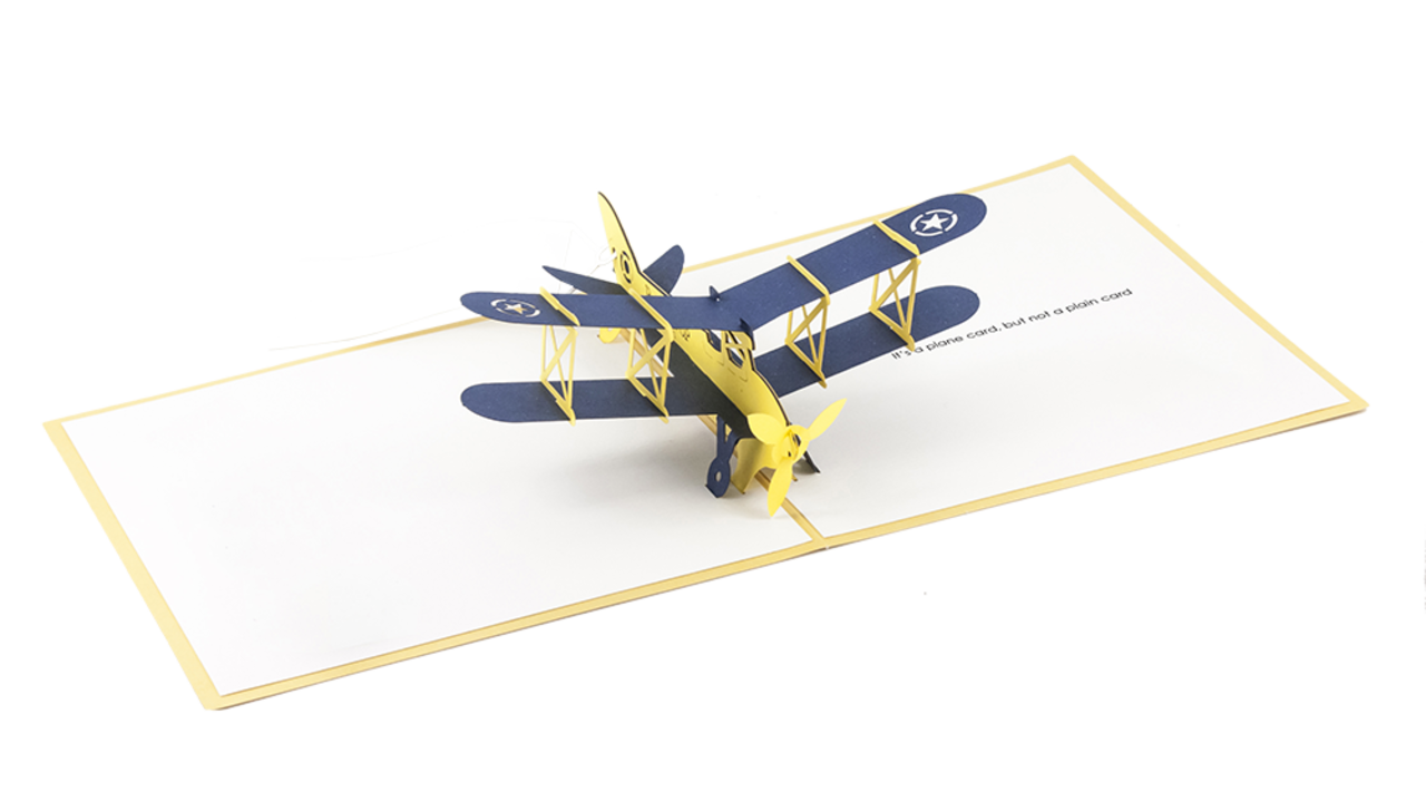 Airplane Invitation Aerobatics Paper Insect PNG