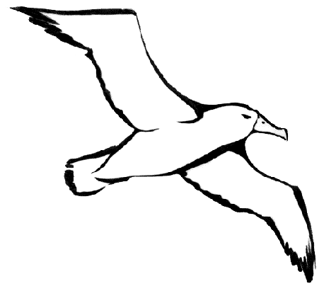 Appendage Family Egret File Albatross PNG