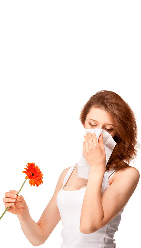 Protector Hypersensitivity Purchase Allergen Things PNG