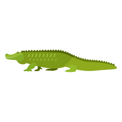 Snake Ducky Animal Animals Iguana PNG