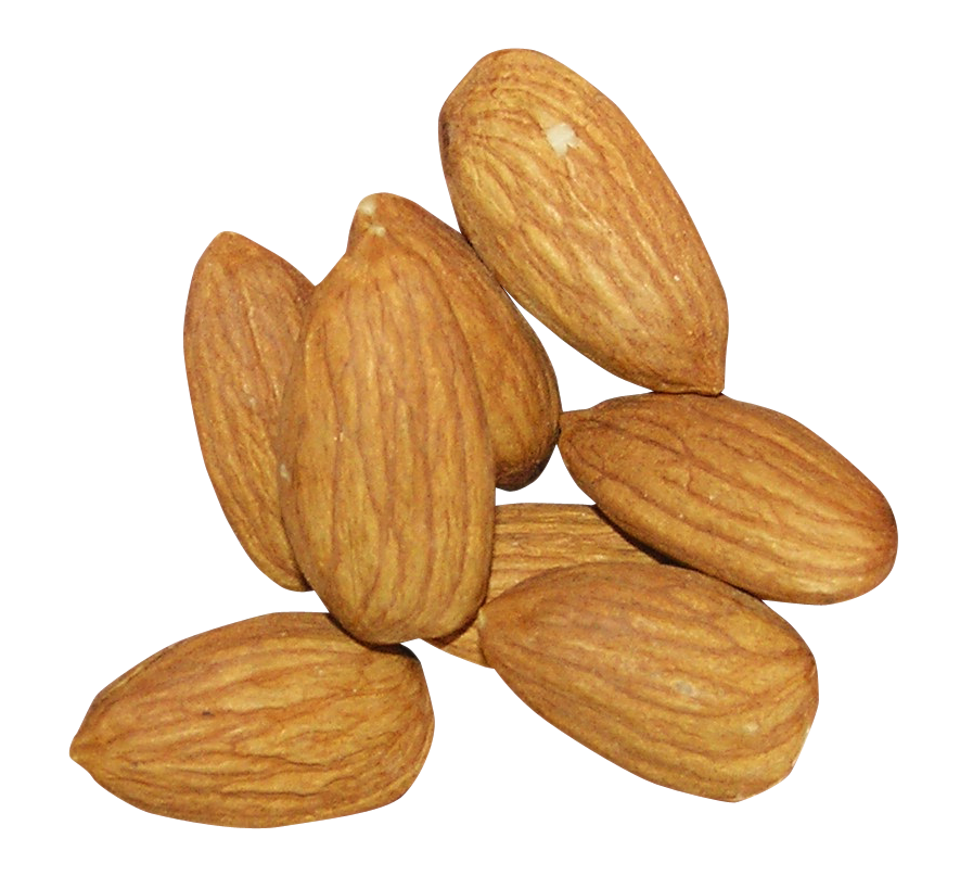 Onion Clementine Pineapple Almond Nut PNG