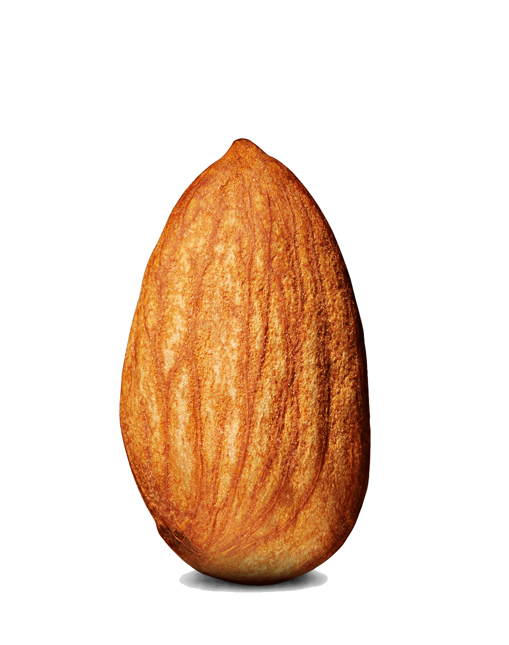 Caraway Potato Apricot Nut Macadamias PNG