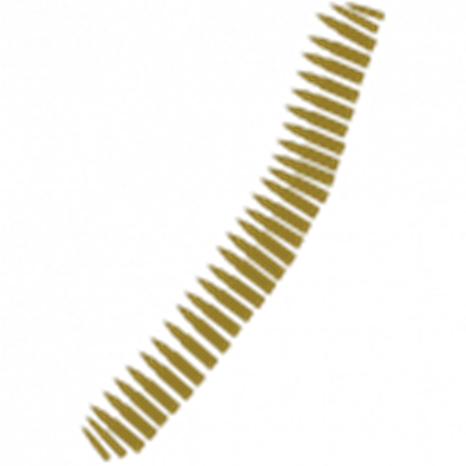 Nature Ammunition Depot Gold PNG