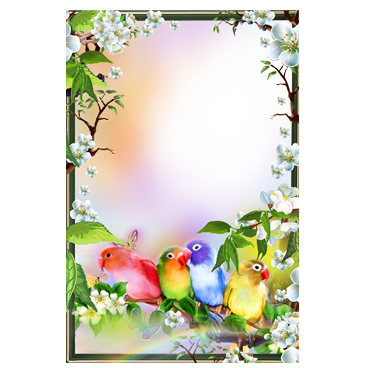 Frame Petal Google App Green PNG