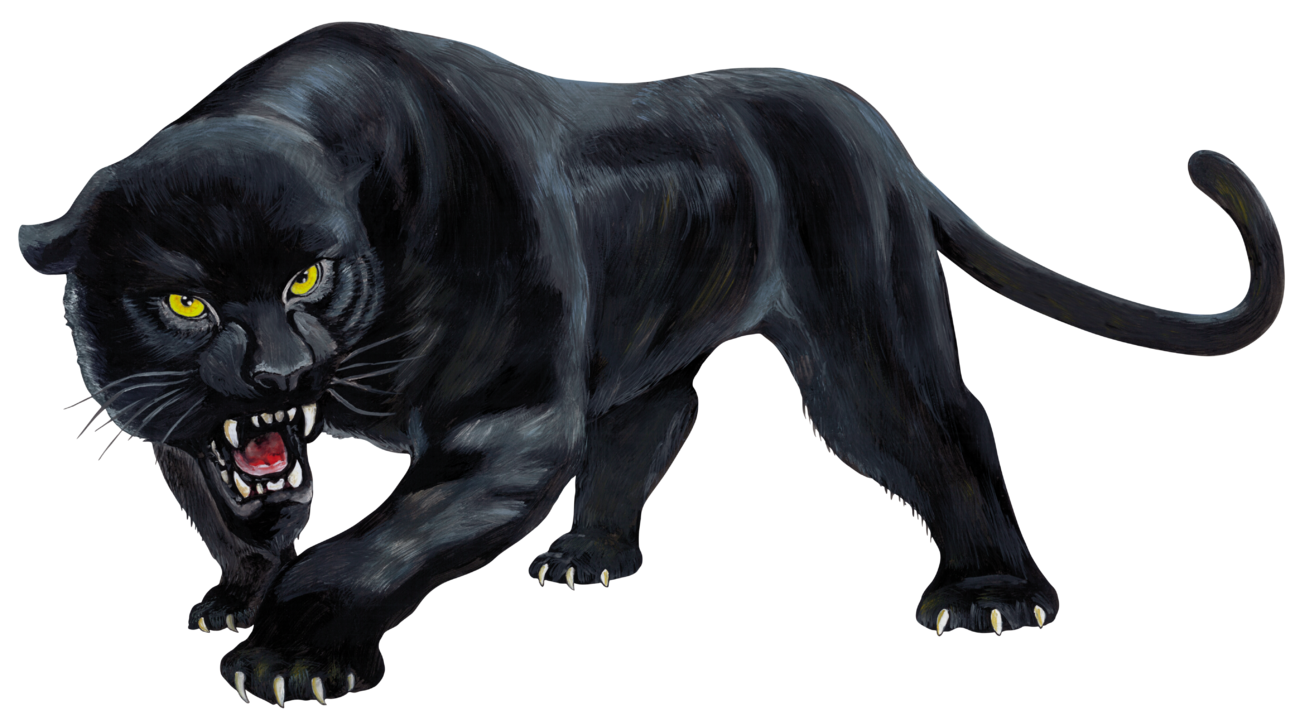 Cyclops Panthera Game Simulator Puma PNG