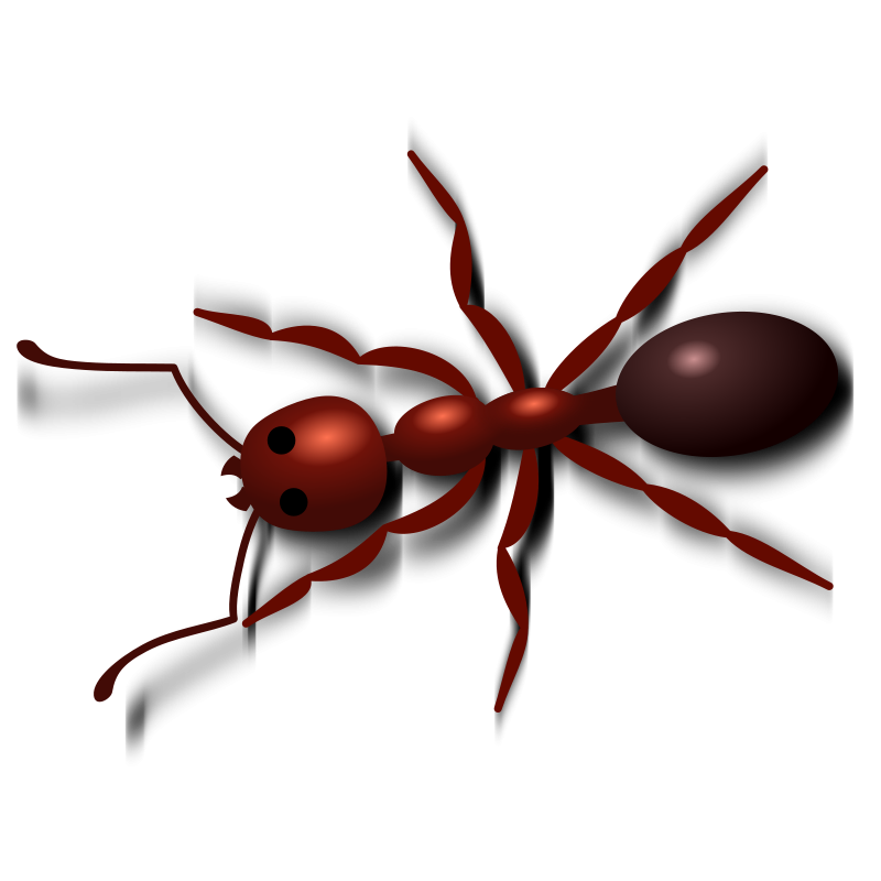Pest Injured Ant Love Arachnid PNG