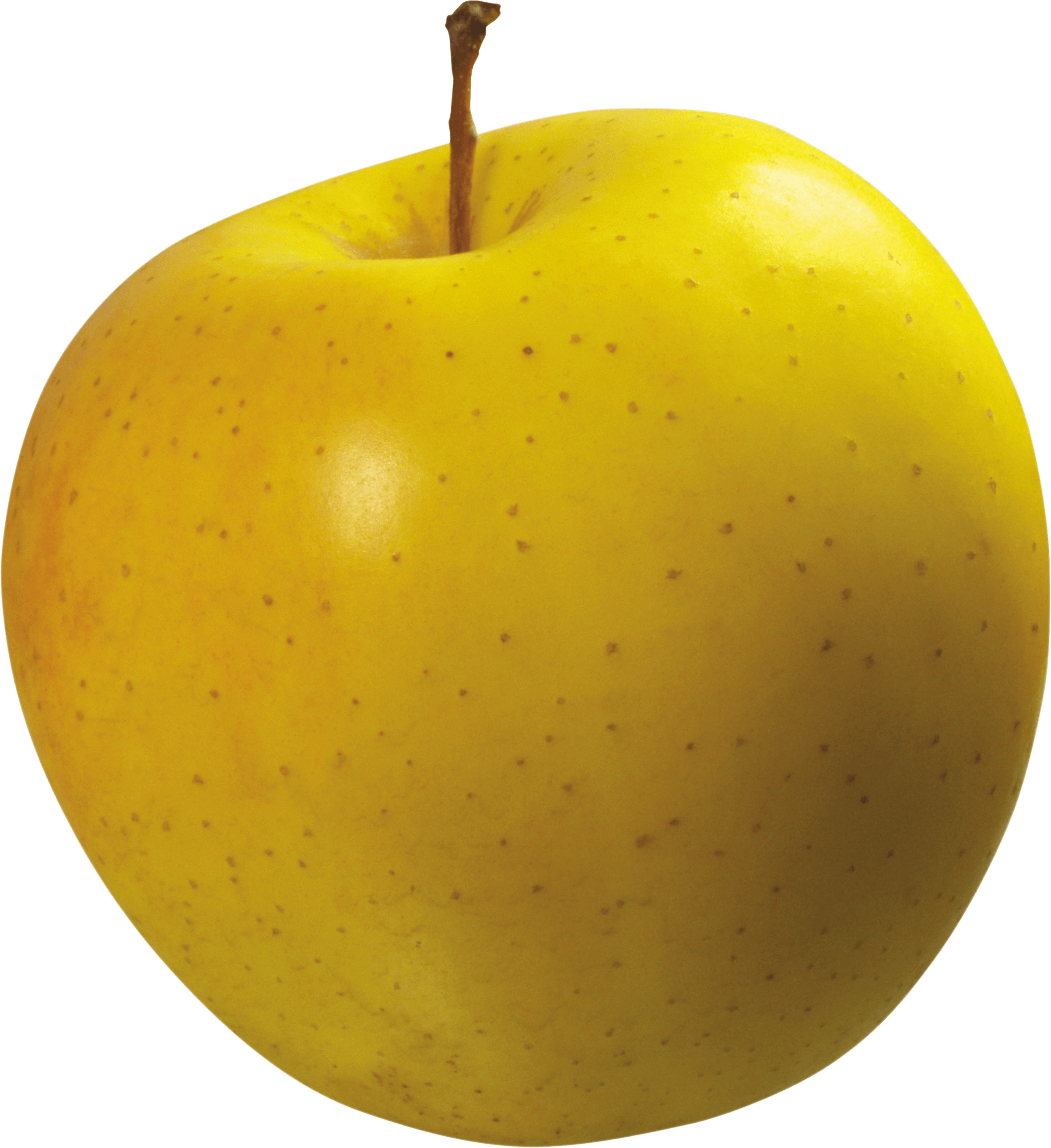 Tree Apple Pure Spring Befit PNG