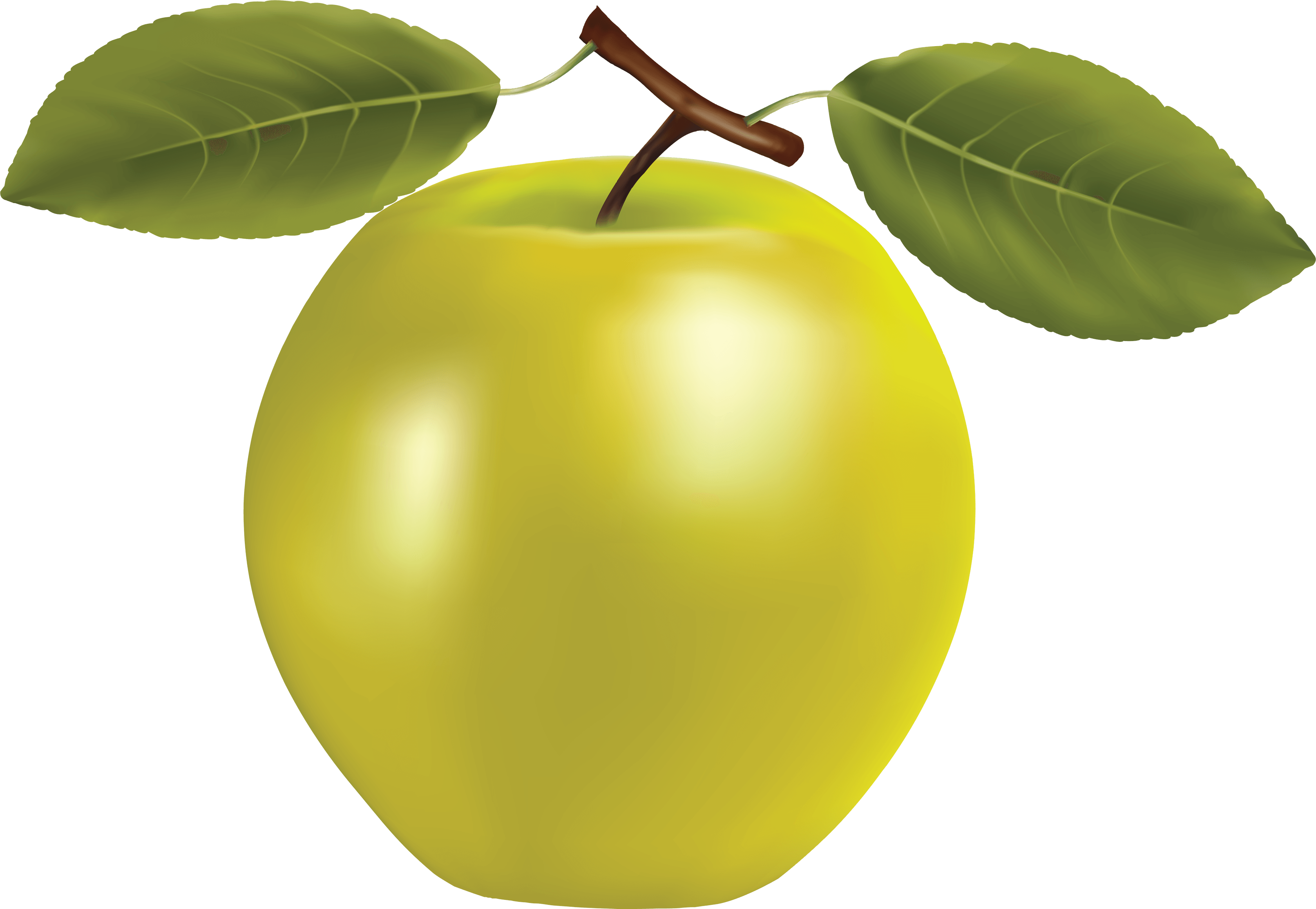 Bone Apple Fitness Motivation Zucchini PNG