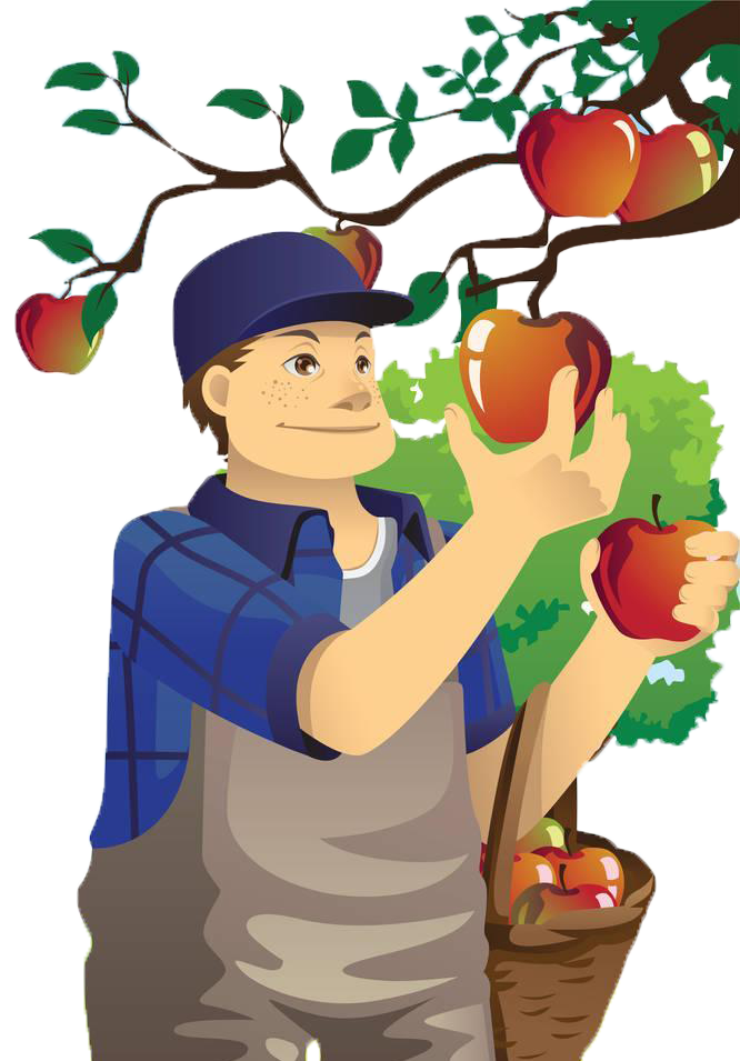 Apple Happiness Apples Cartoon Fruit PNG