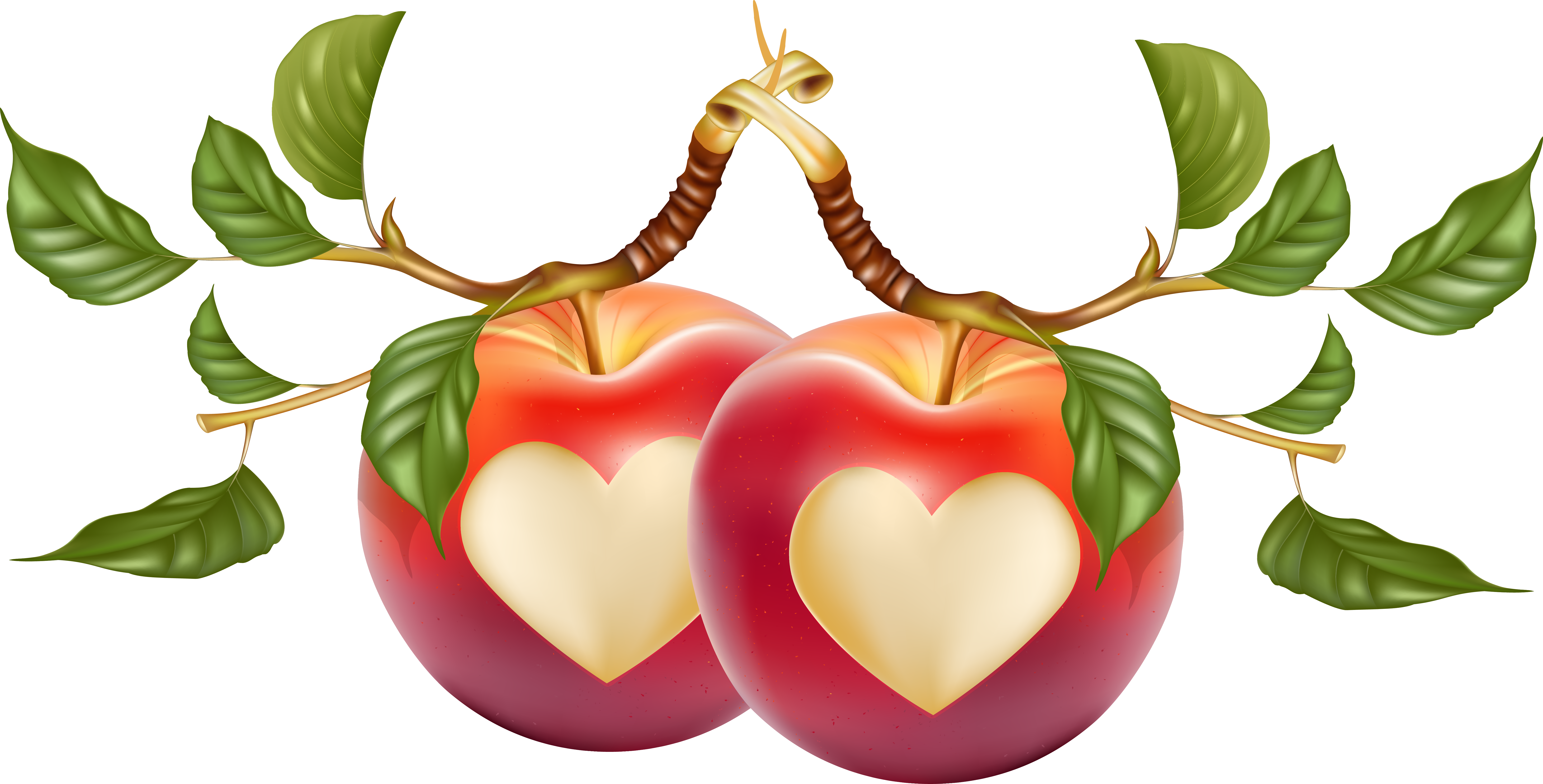 Cranberry Oranges Heart-Shaped Apple Strawberry PNG