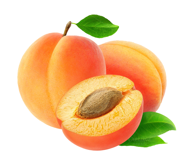 Apricot Kumquats Sloes Pomegranate Pear PNG