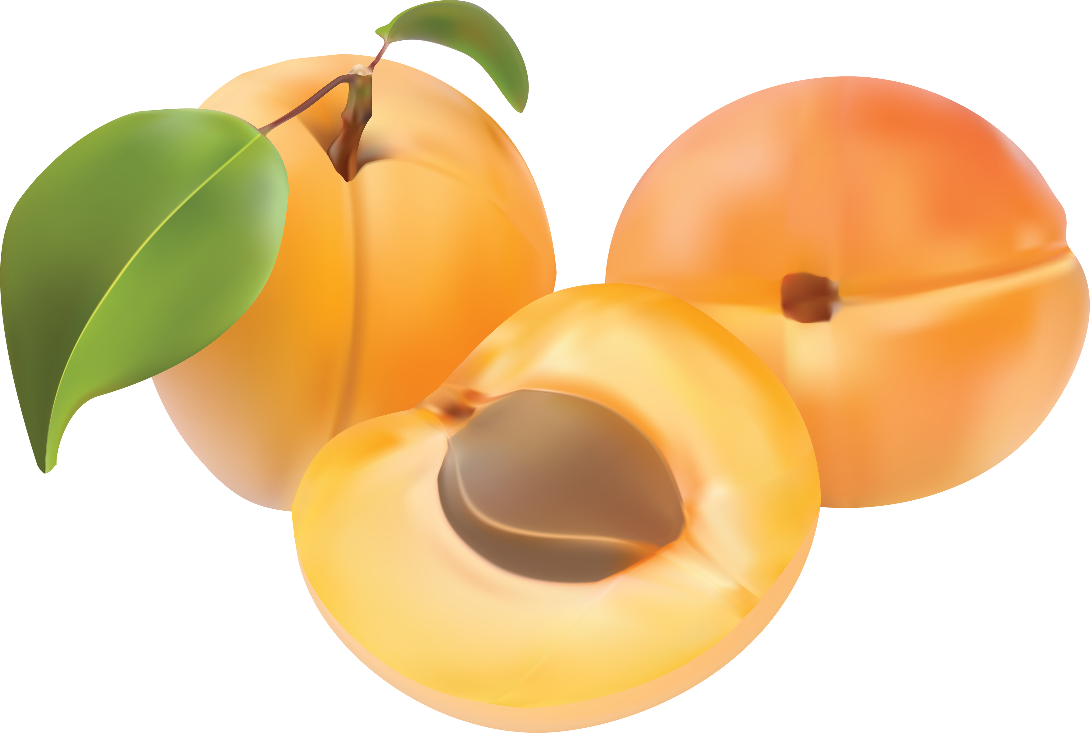 Pomegranate Apricot Figs Close Muscat PNG