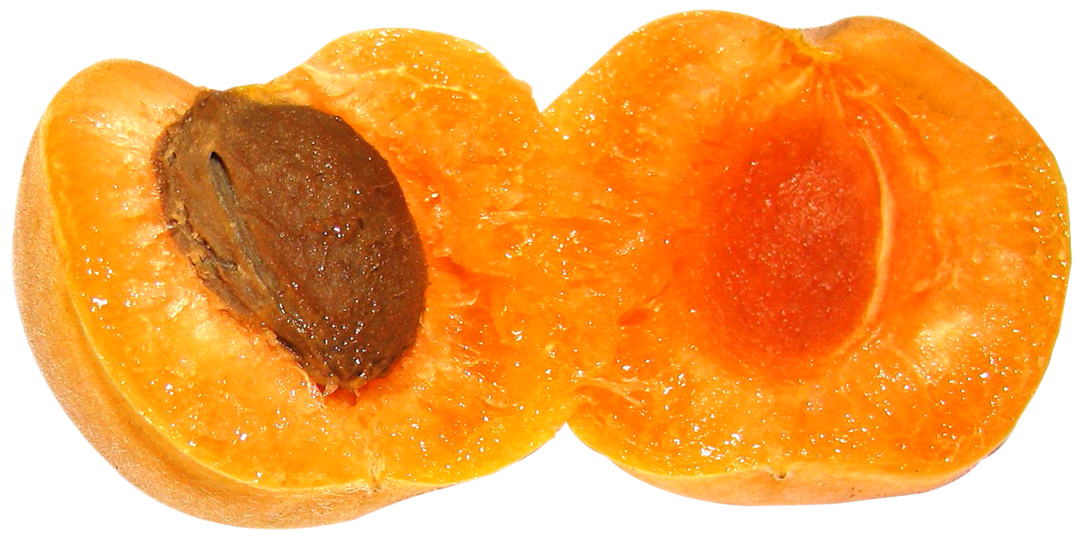 Fruit Apricot Fruits Lemony Slice PNG