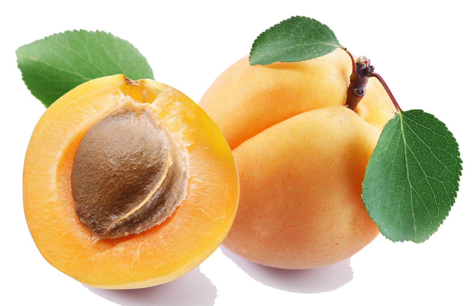 Apple Perfect Peach Snack Nectarine PNG