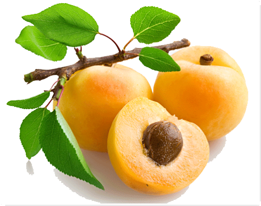 Nectarine Paradise Berry Citron Motivation PNG