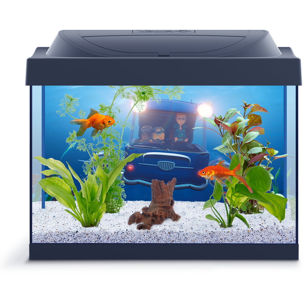 Manatee Tank Furniture Aquarium Fish PNG