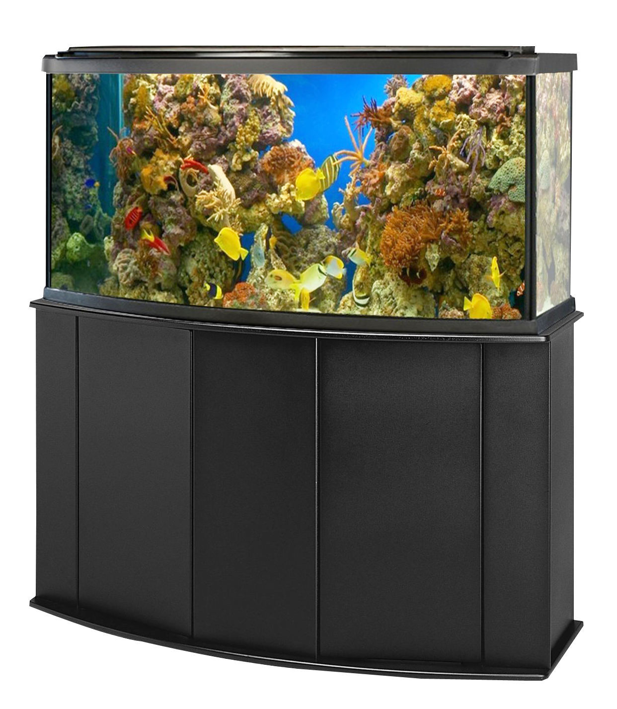 Snorkel Vivarium Turtles Tank Aquarium PNG