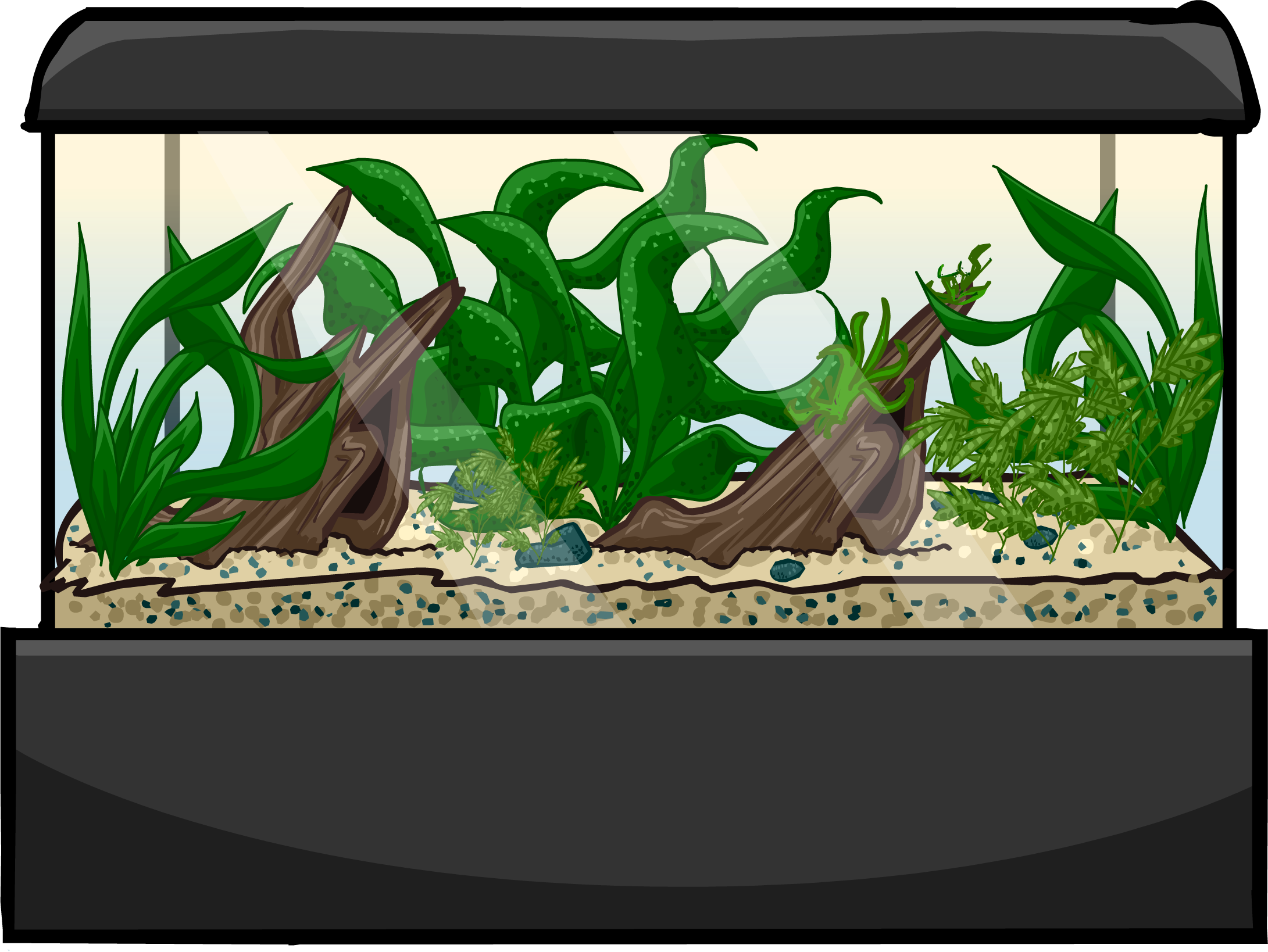 Hatchery Aquarium Belugas Tank Fish PNG