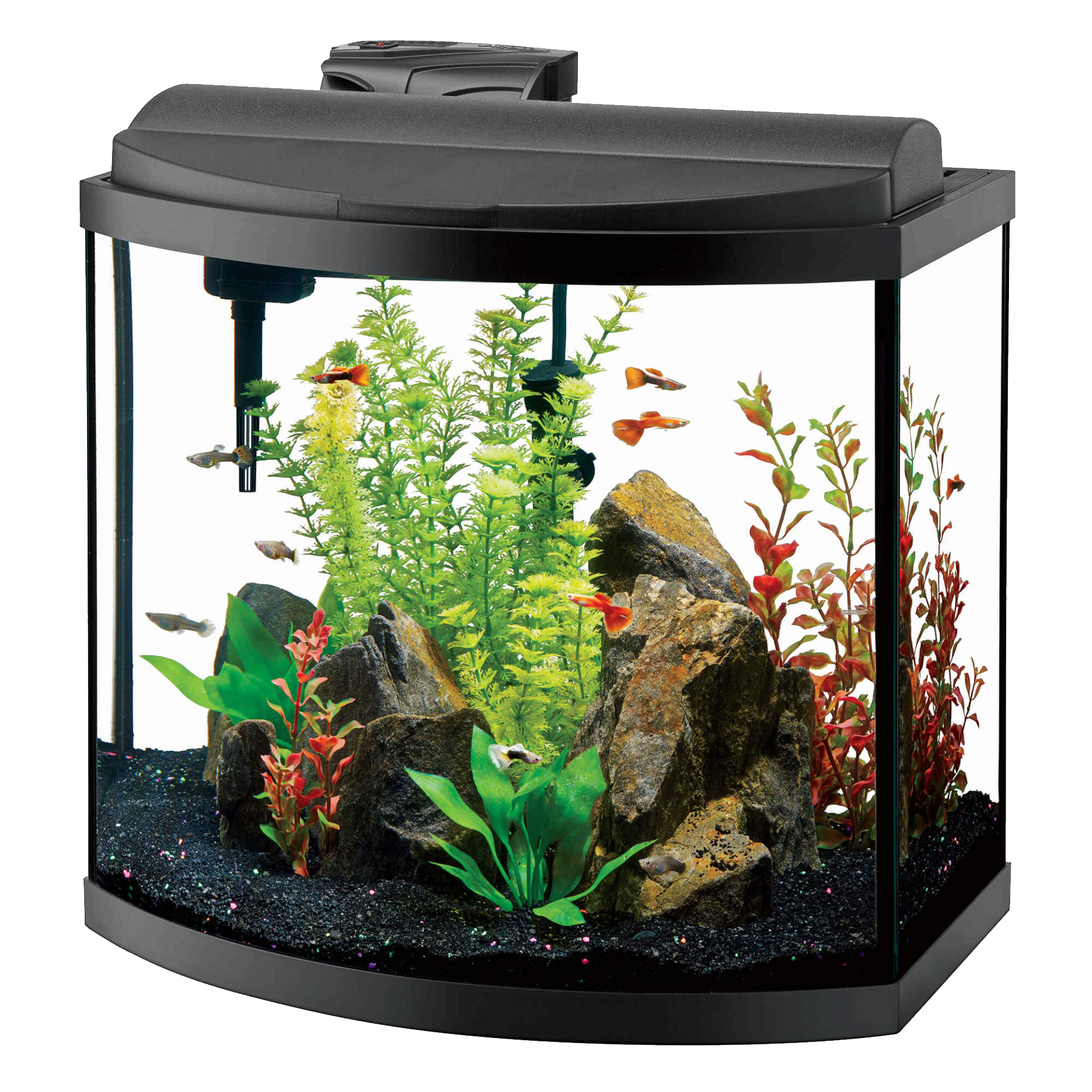 Aquarium Tank Hatchery Zoological Glass PNG