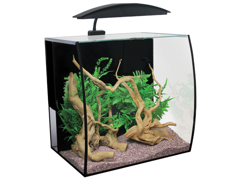 Vivarium Terrapin Aquarium Furniture Glass PNG