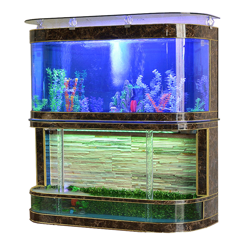 Glass Fish Octopus Lagoon Tank PNG