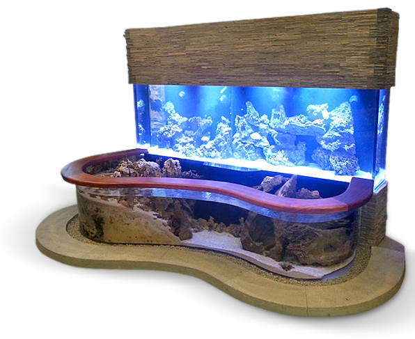 Furniture Stingrays Aquarium Fish Angelfish PNG