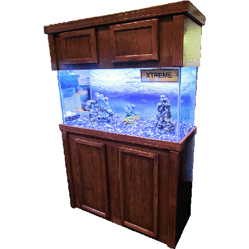 Freshwater Manatee Terrarium Tank Fish PNG