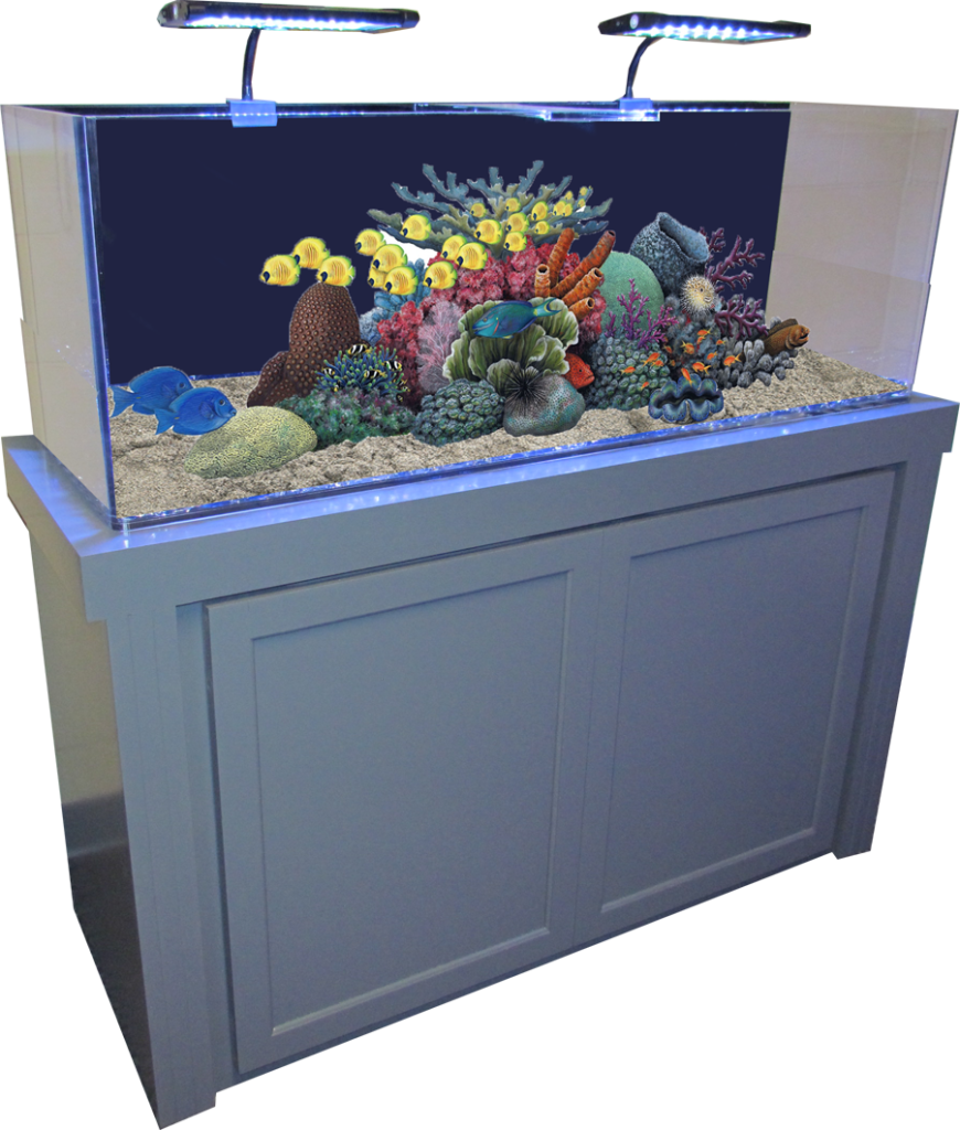 Water Fish Container Tank Fresh PNG
