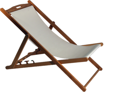 Saltwater Vivarium Chair Deck Reptile PNG