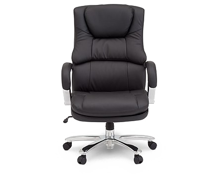 Desk Stingrays Chair Vivarium Seahorse PNG