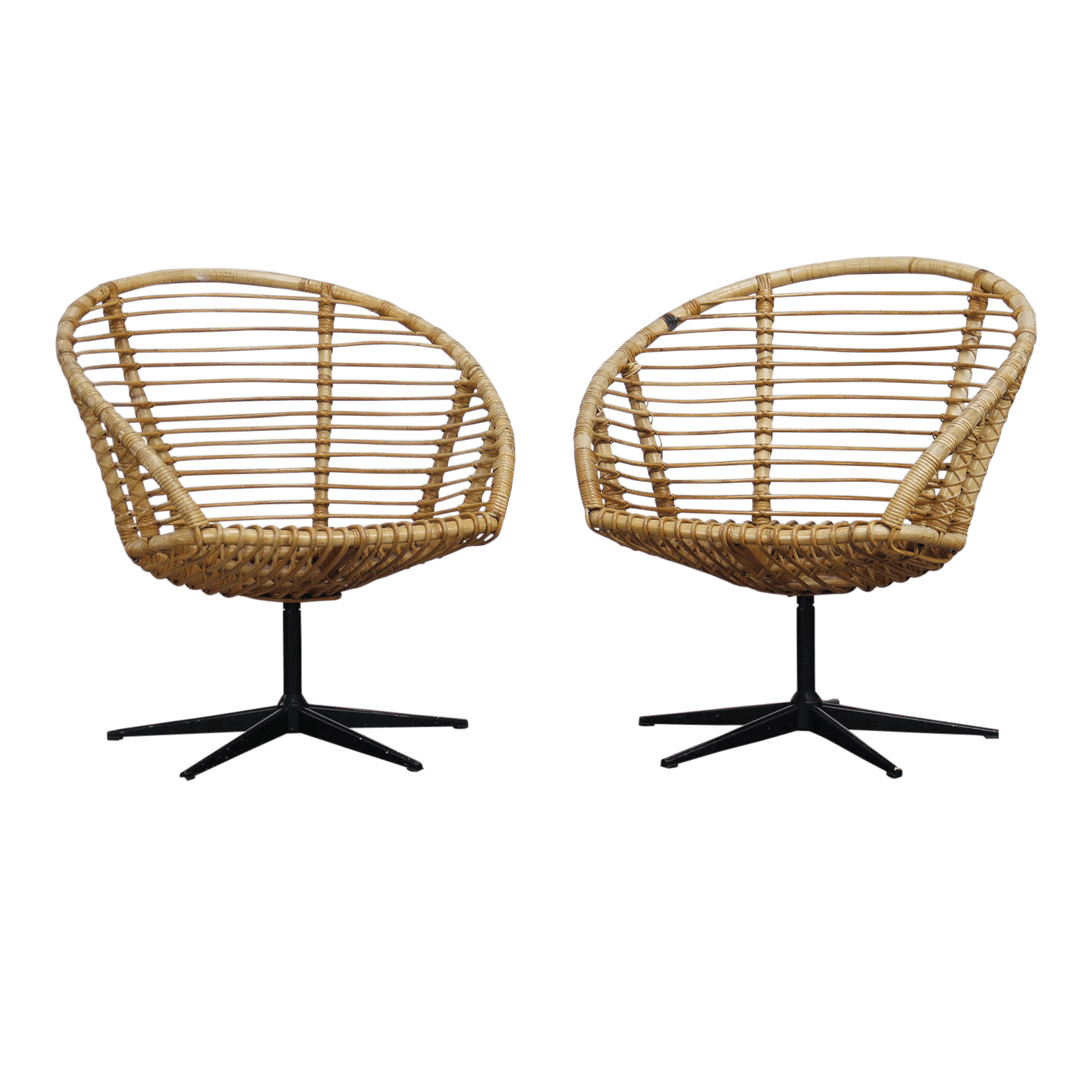 Chair Bowl Vivarium Basket Saltwater PNG
