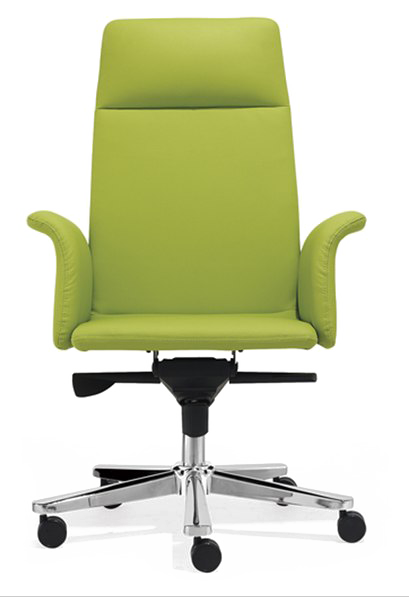 Office Vivarium Otters Chair Belugas PNG