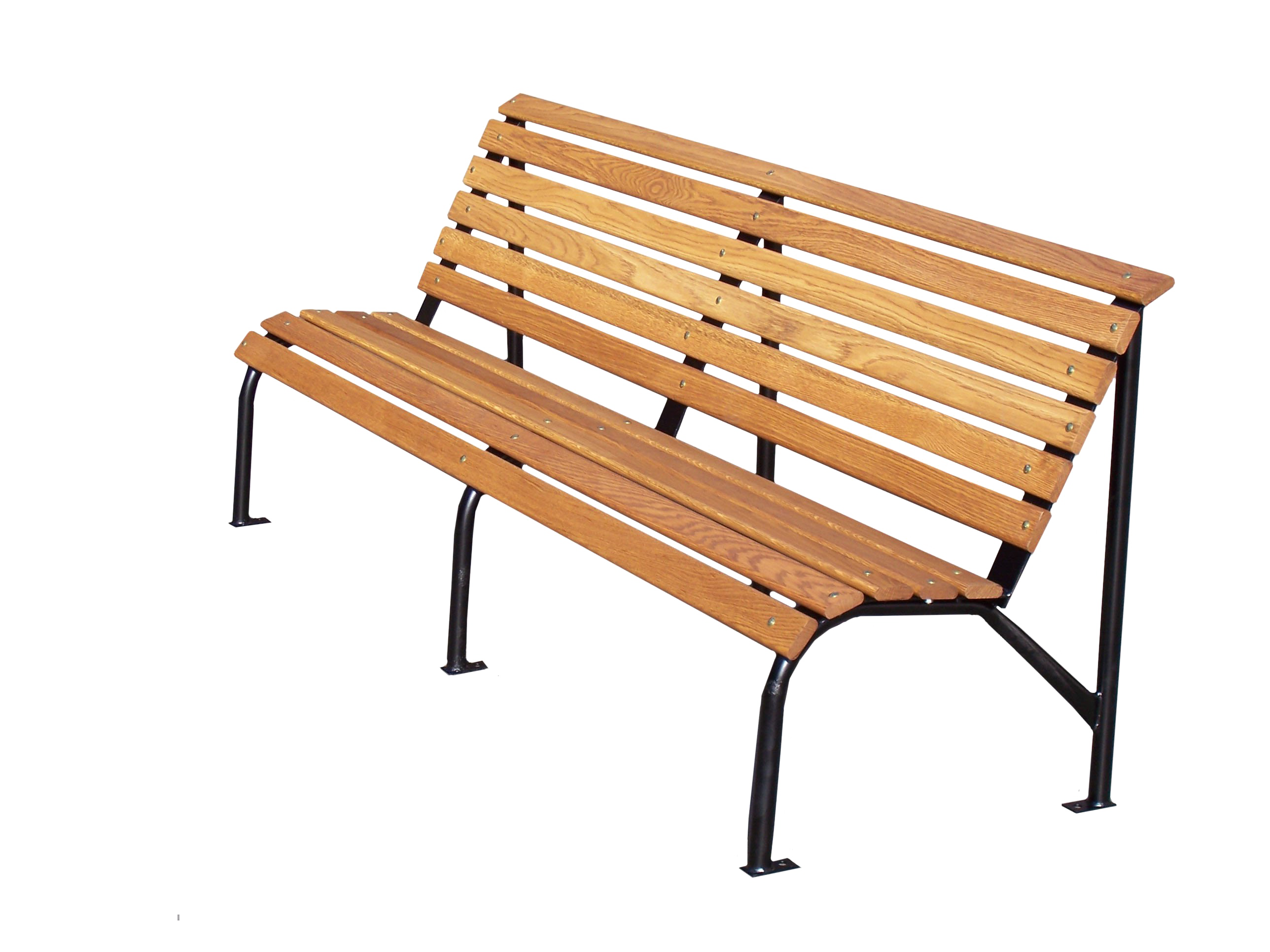 Park Dolphin Bench Belugas Bowl PNG