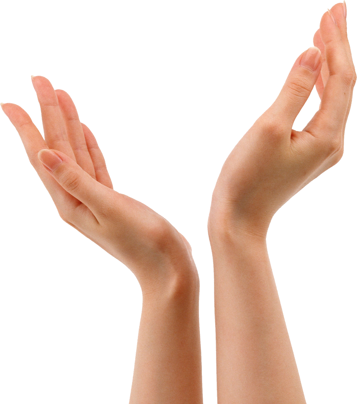 Model Hand Skin Arm Desktop PNG