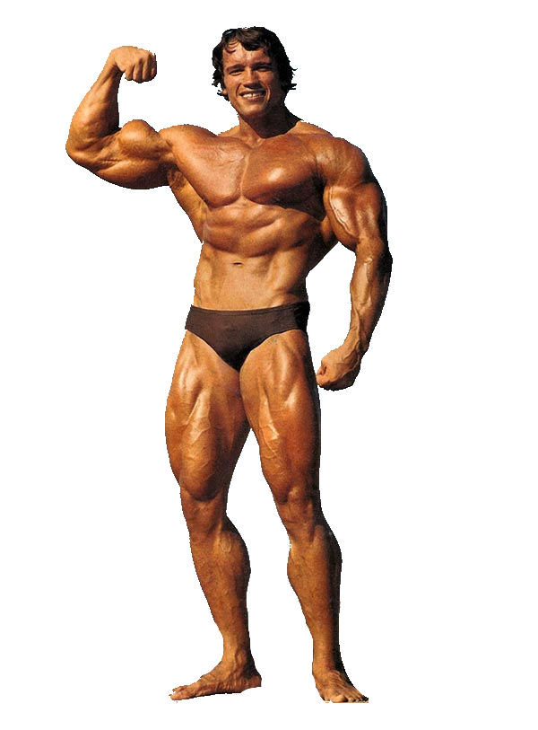 Schwarzenegger Arnold Sports PNG