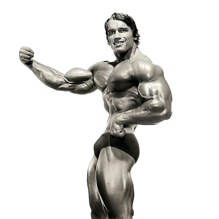 Schwarzenegger Sports Arnold PNG