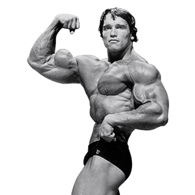 Arnold Home Sport Schwarzenegger Crowd PNG