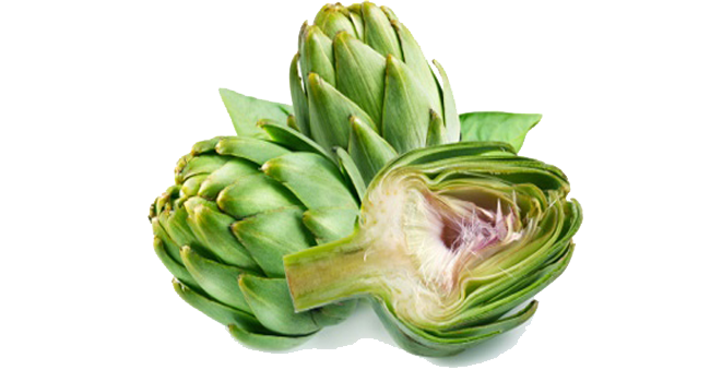 Onions Motivation Delicious Fit Artichokes PNG