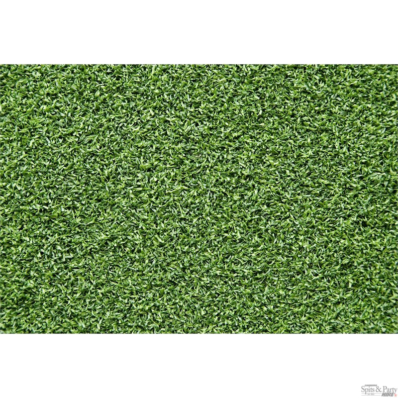 Sod Greenery Betray Grass Fake PNG
