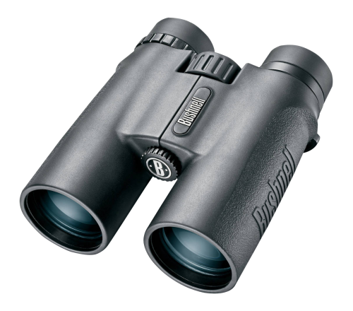 Grasslands Factitious Faux Binocular Conventionalized PNG