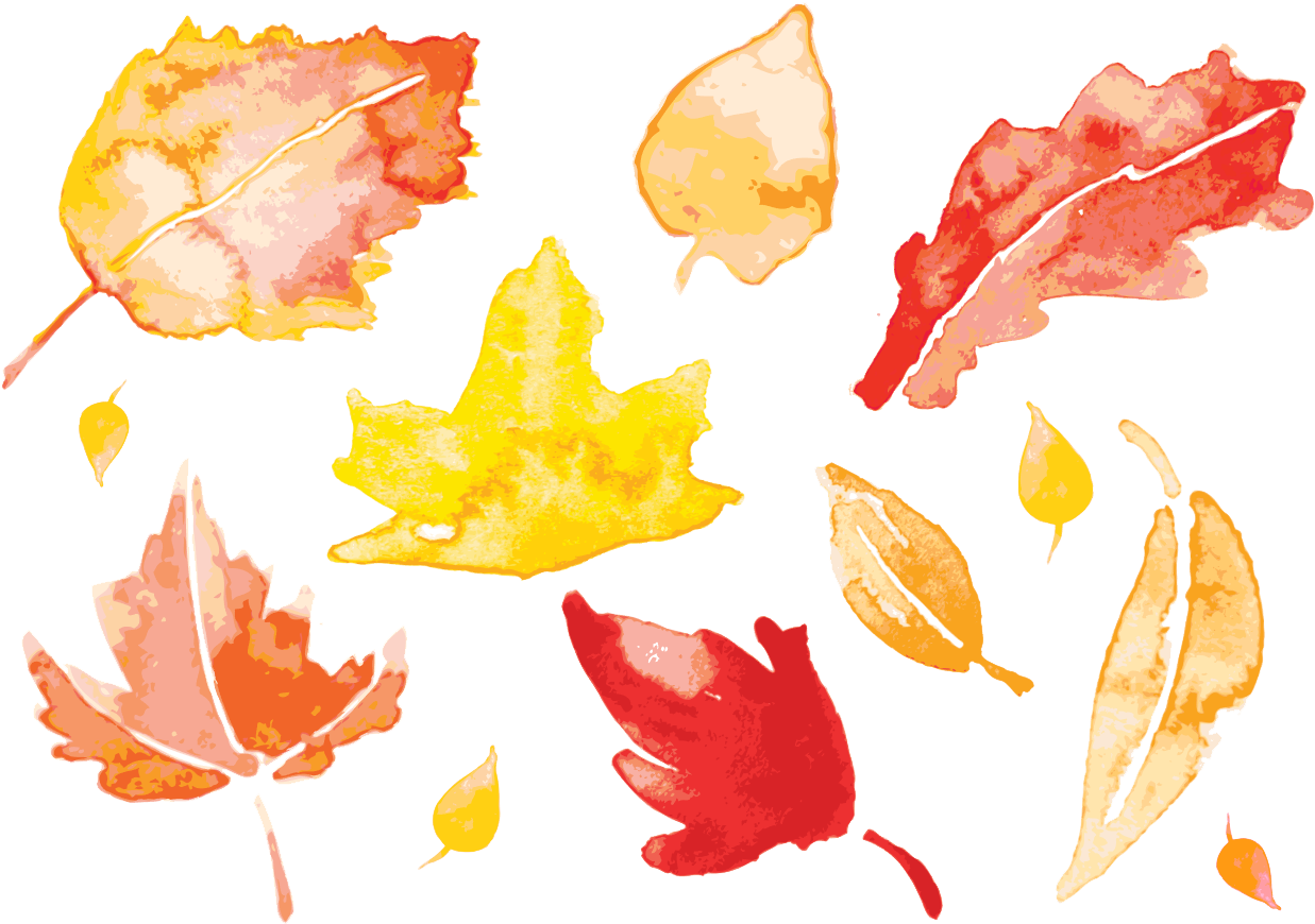 Autumn Vector Summery Falling Nature PNG