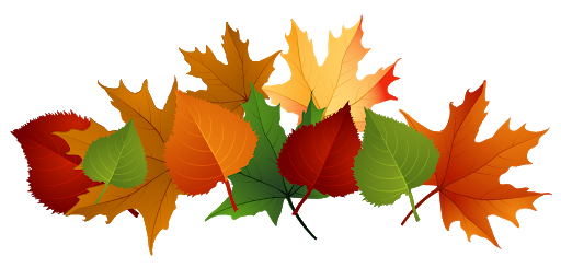 Flees Renders Autumn Vector Leaf PNG