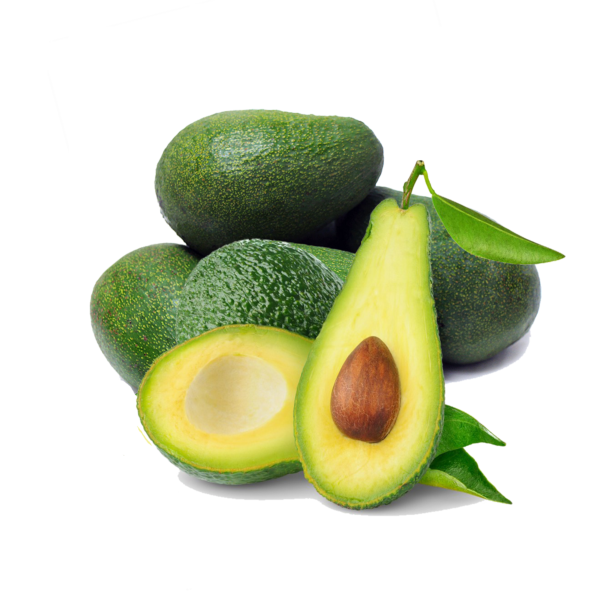 Counsels Fruits Fennel Avocado Advocate PNG