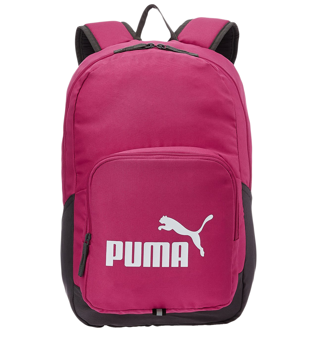 Skin Puma Ladle Pocket Backpack PNG