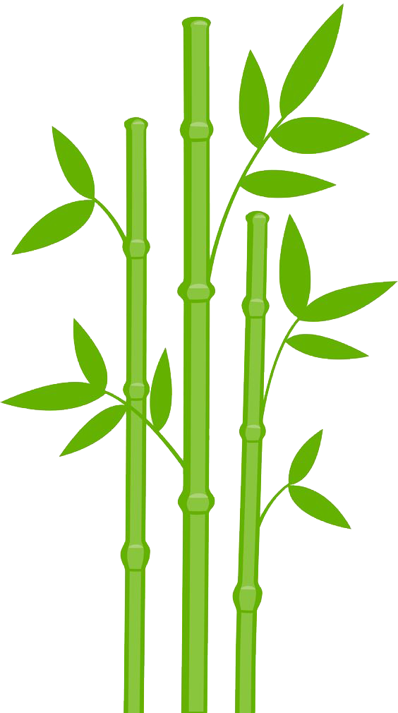 Bamboo Cypress Coir Funny Dart PNG
